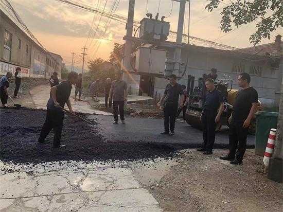平邑街道：凝聚人大力量 助推乡村振兴(图3)