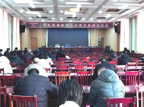 平邑街道青年人才党支部成立(图1)