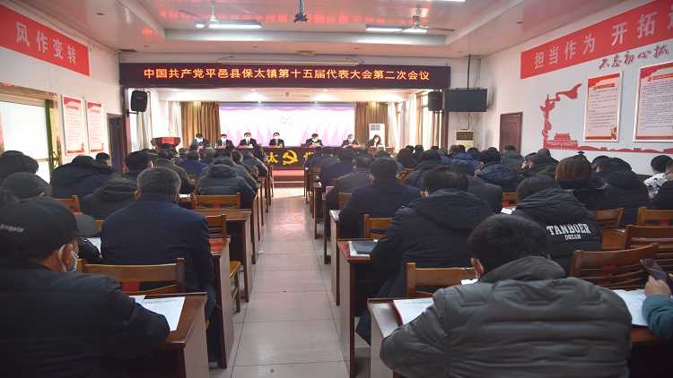 中国共产党平邑县保太镇第十五届代表大会第二次会议胜利召开(图1)