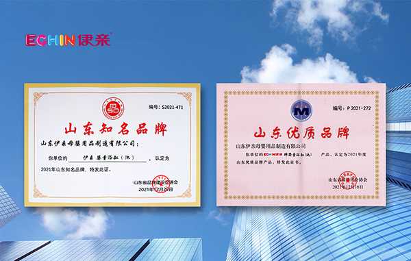 2022山东省重点行业品牌价值榜单发布  伊亲品牌价值3.54亿(图4)