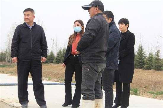 【田间农事】平邑街道农业办深入田间“把脉”春季麦田管理(图2)