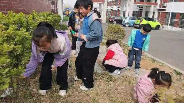 山东平邑：实验小学第三分园“雷锋月行动多”(图5)