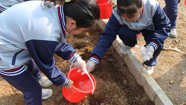 山东平邑：实验小学教育集团主校区开展实践课堂进田园体验(图2)