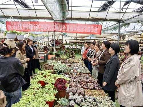 平邑街道开展“乡村振兴巾帼行动”沂蒙行志愿服务直通车活动(图2)