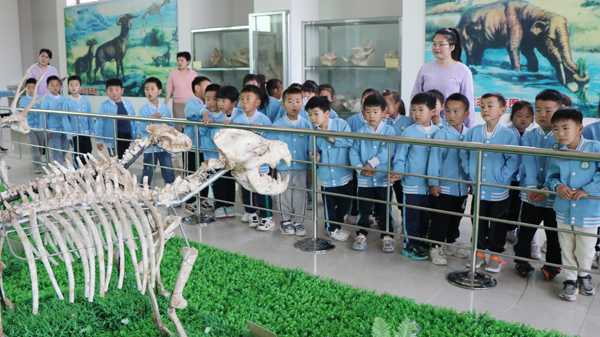 平邑县实验小学教育集团兴蒙校区幼儿园 开展生命科学之旅社会实践活动(图1)