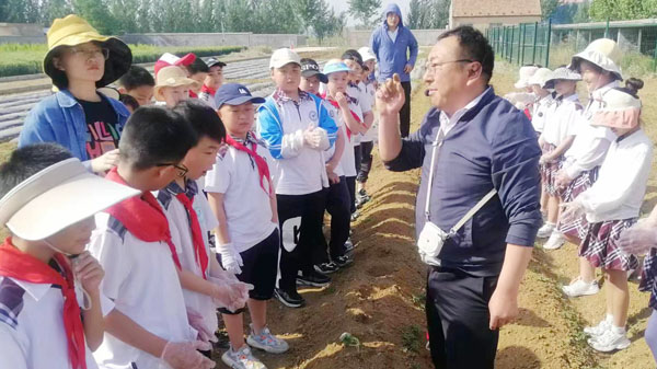 山东平邑：实验小学开展田间体验种植乐趣(图1)