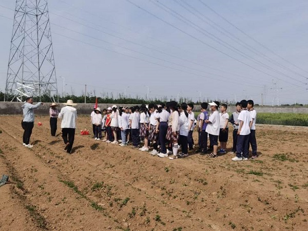 平邑兴蒙学校走进劳动实践基地，沉浸式体验种地瓜的劳作乐趣(图1)