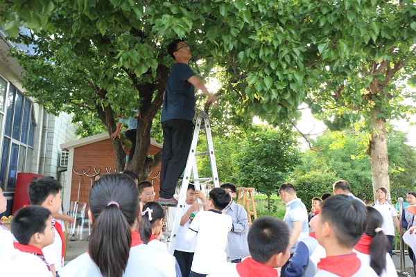 平邑兴蒙学校开展收获“杏”福体验式主题采摘活动(图5)