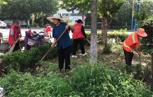 平邑街道全力做好迎接国家卫生城市复审工作(图3)