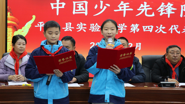 中国少年先锋队平邑县实验小学第四次代表大会隆重召开(图3)