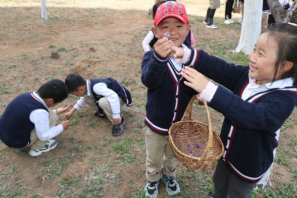 大自然 大社会都是活教材—兴蒙学校幼儿园走进明德公园开展社会实践活动(图3)