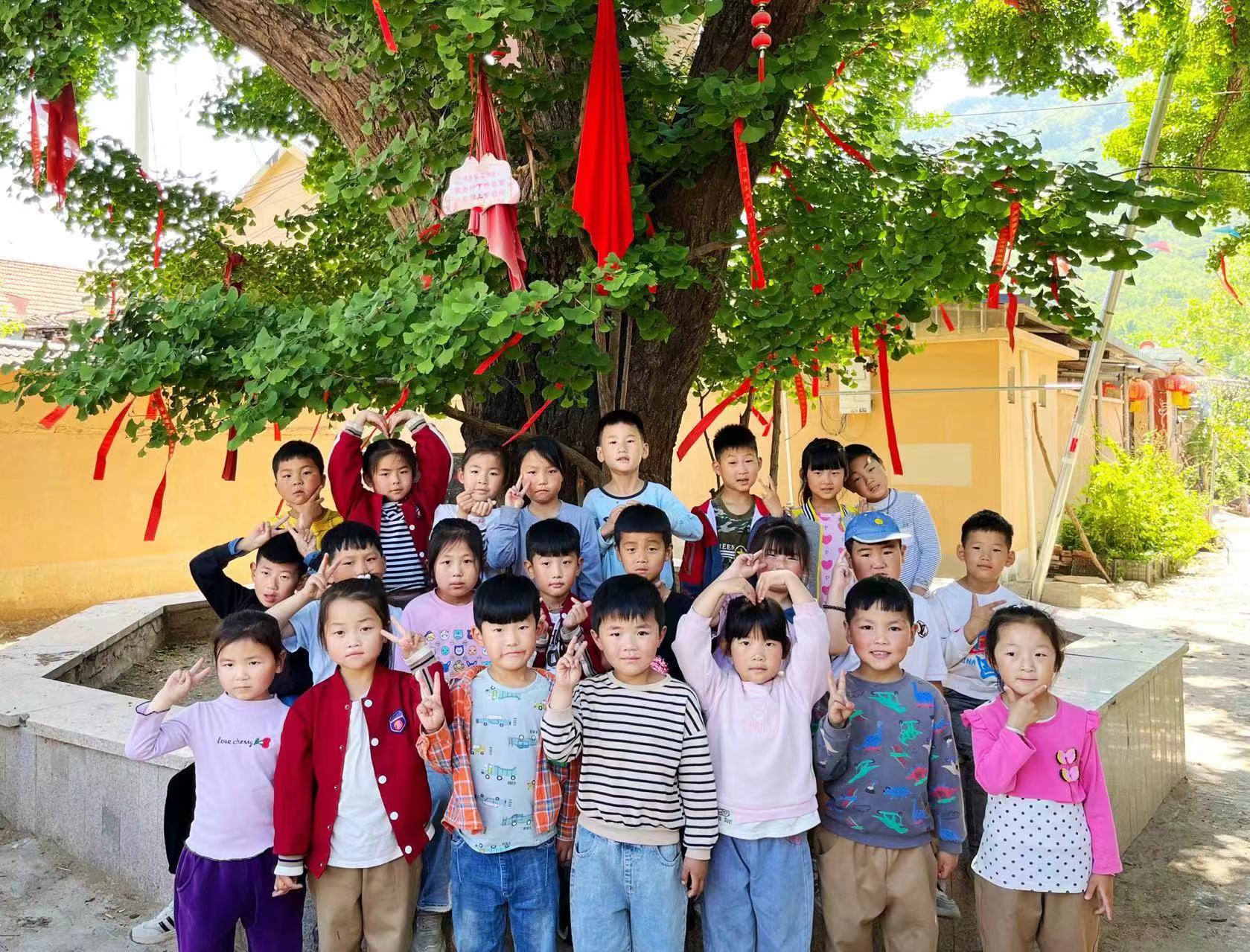地方镇第二中心幼儿园开展探秘白果树主题活动