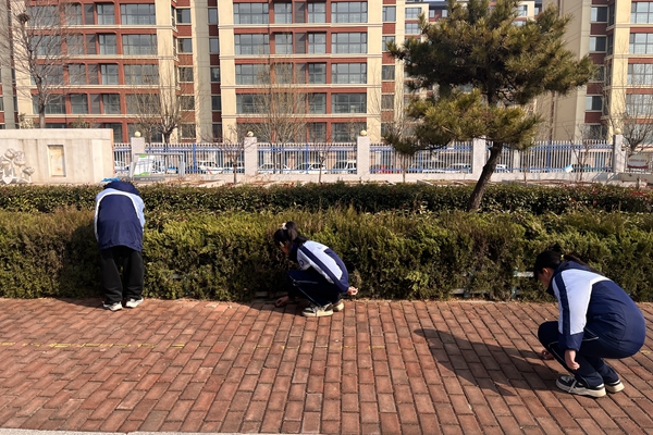 第二实验小学开展“寻找最美身影”活动(图2)