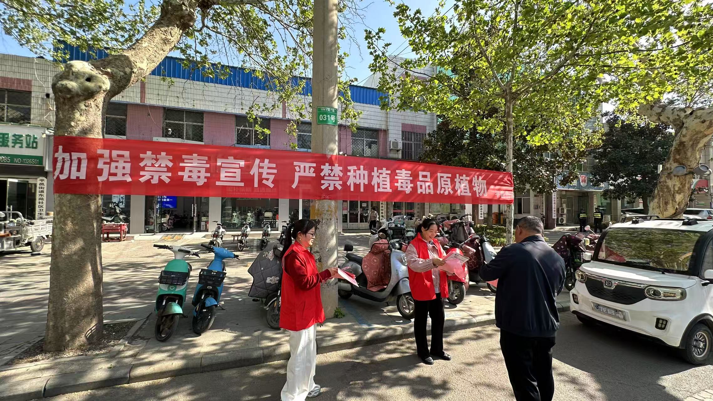 平邑街道：织密禁种铲毒“防护网” 共筑绿色无毒新家园