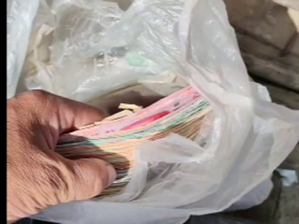拾金不昧暖人心，师德光辉照校园(图1)