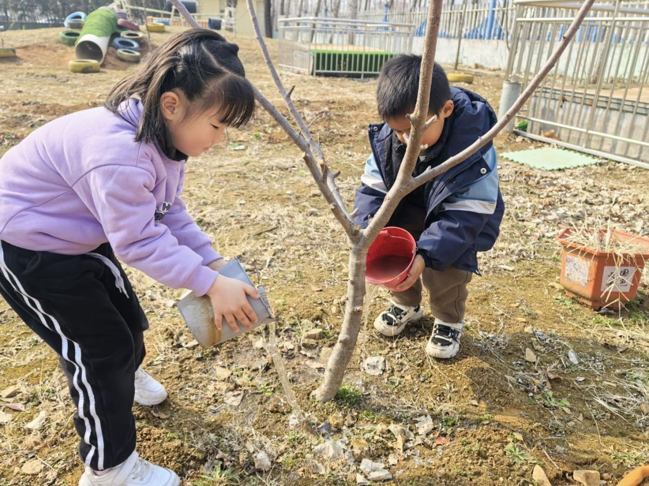 平邑县丰阳镇中心幼儿园开展植树节主题活动(图1) 平邑县丰阳镇中心幼儿园开展植树节主题活动(图1)
