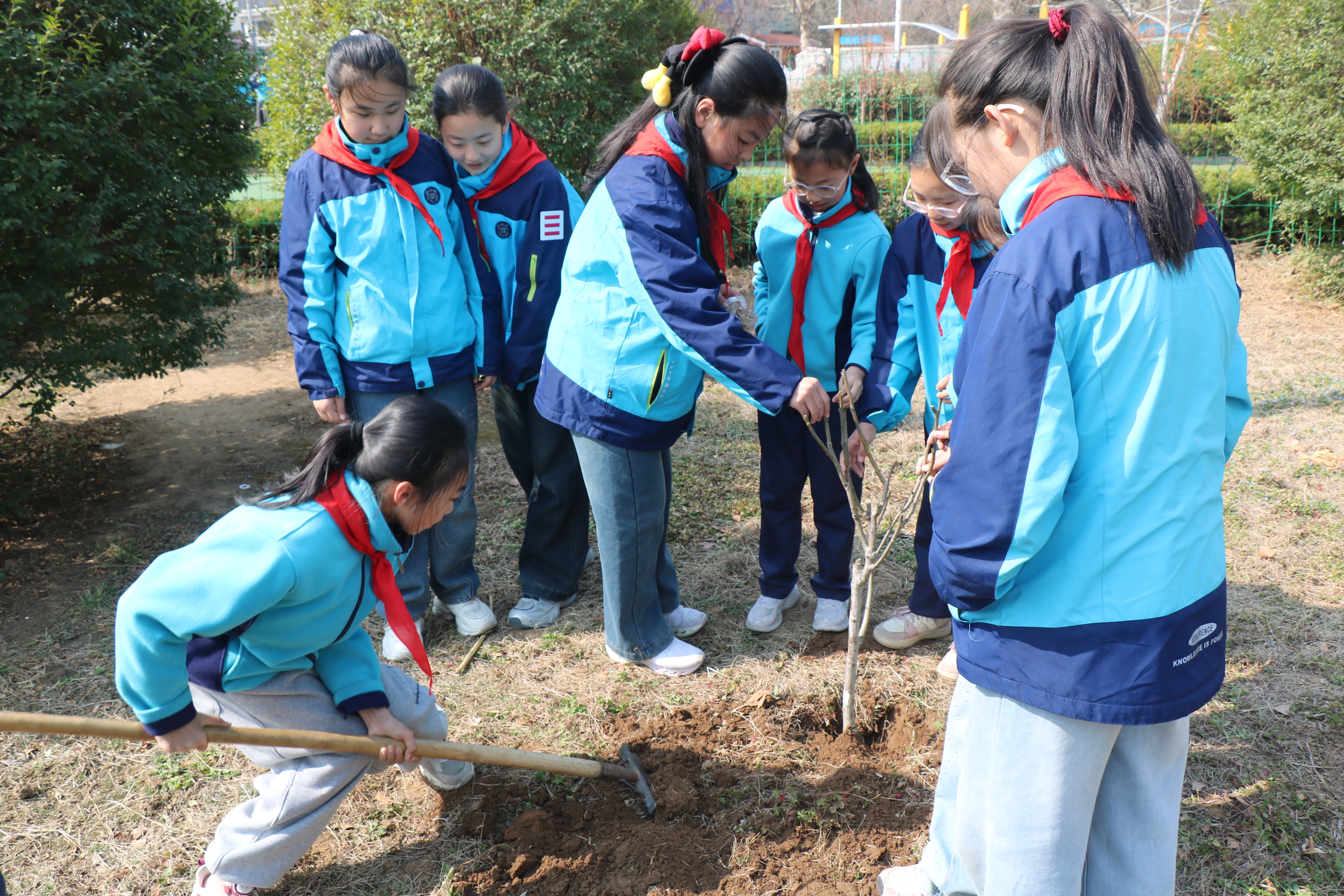 平邑兴蒙学校开展植树节主题活动—— 师生共植 “希望林”(图2) 平邑兴蒙学校开展植树节主题活动—— 师生共植 “希望林”(图2)