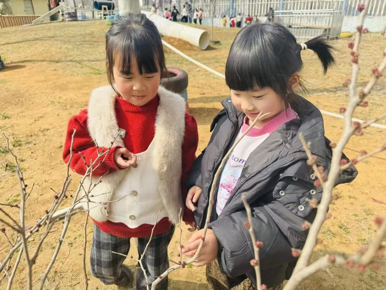 平邑县丰阳镇中心幼儿园开展春分节气主题活动(图2)