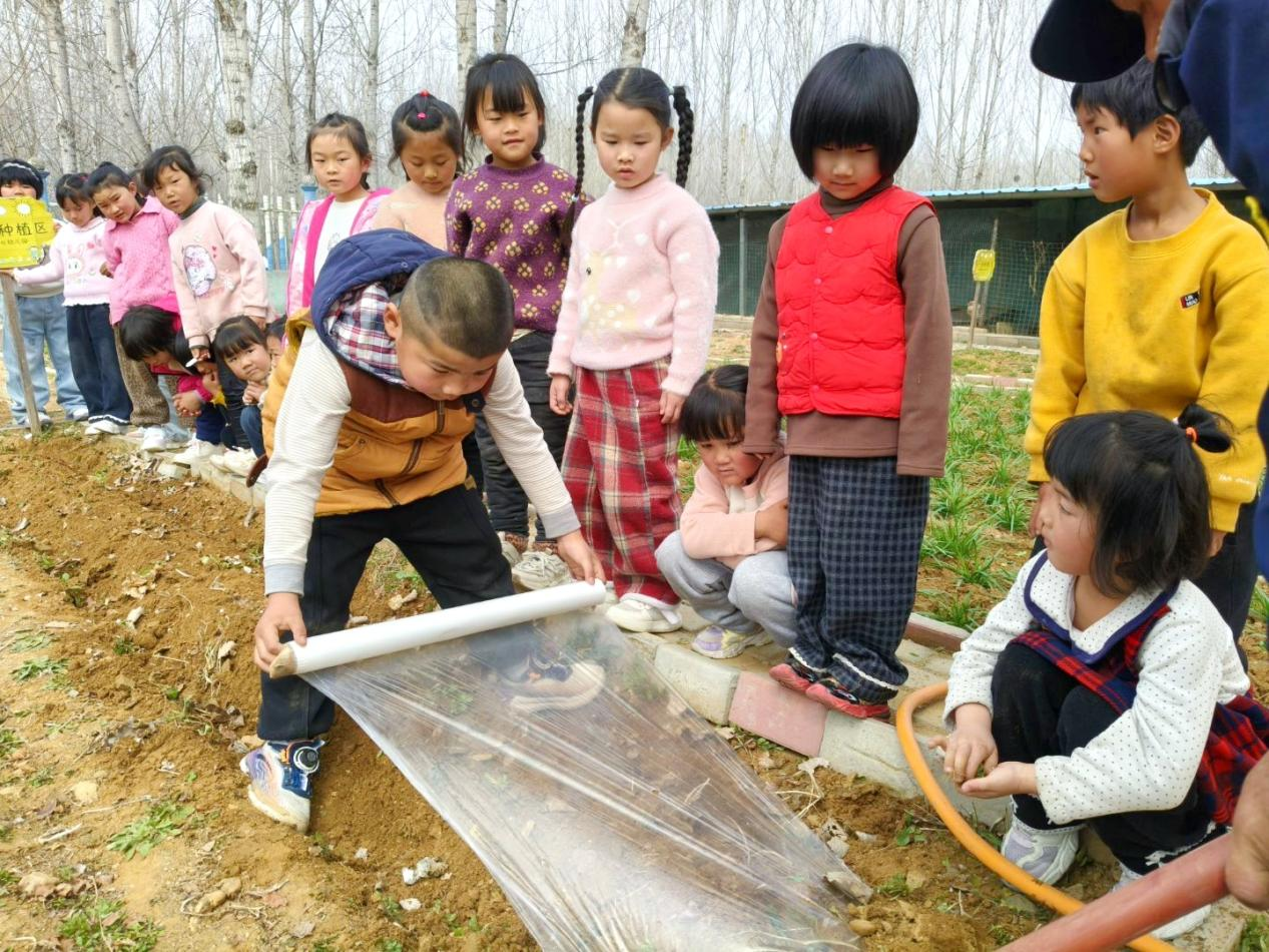 平邑县丰阳镇中心幼儿园开展种土豆实践活动(图3)