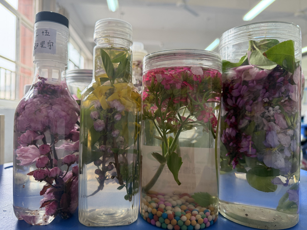 【山东平邑】实验小学第三校区“春日探趣”系列活动精彩开展(图1) 【山东平邑】实验小学第三校区“春日探趣”系列活动精彩开展(图1)