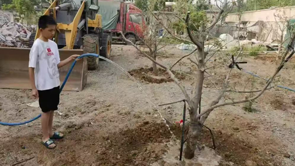 【山东平邑】实验小学“复盘”孩子的春假实践(图4)