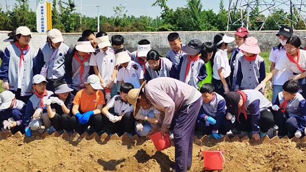 【劳动实践】平邑县实验小学开展“实践出真知”种花生实践活动(图2)