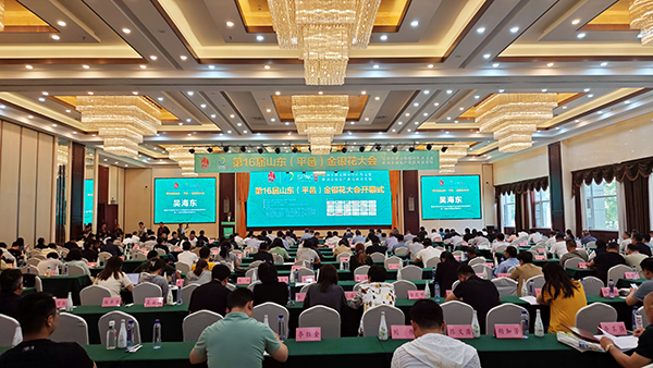 第16届山东（平邑）金银花大会成功举办(图1)