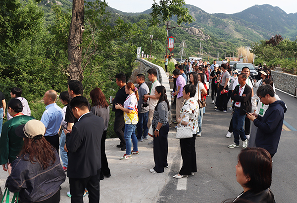 第16届山东（平邑）金银花大会成功举办(图4)