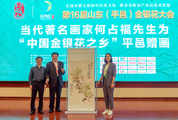 第16届山东（平邑）金银花大会成功举办(图7)