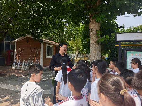 平邑兴蒙学校开展杏子采摘活动  (图1)