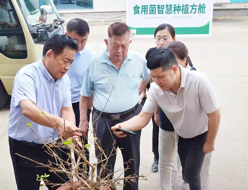 院士走进沂蒙 助力乡村振兴(图2) 院士走进沂蒙 助力乡村振兴(图2)