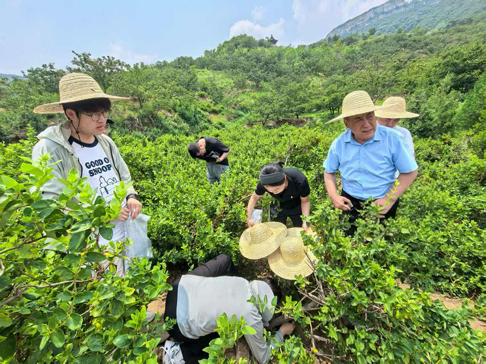 山东名牌丨 院士赋能老区经济 助力企业科技创新(图1)