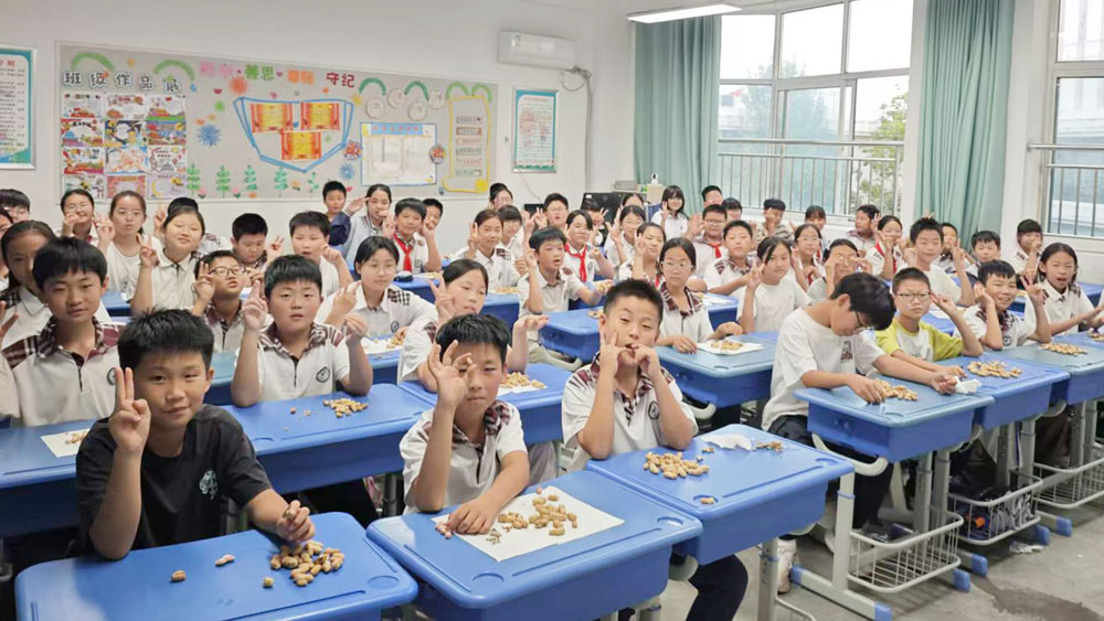 【山东平邑】实验小学第六校区开展校内劳动基地花生采收活动(图4)