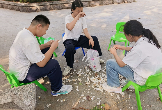 躬耕实践，乐享劳动——平邑兴蒙学校六年级开展种植实践活动(图2)