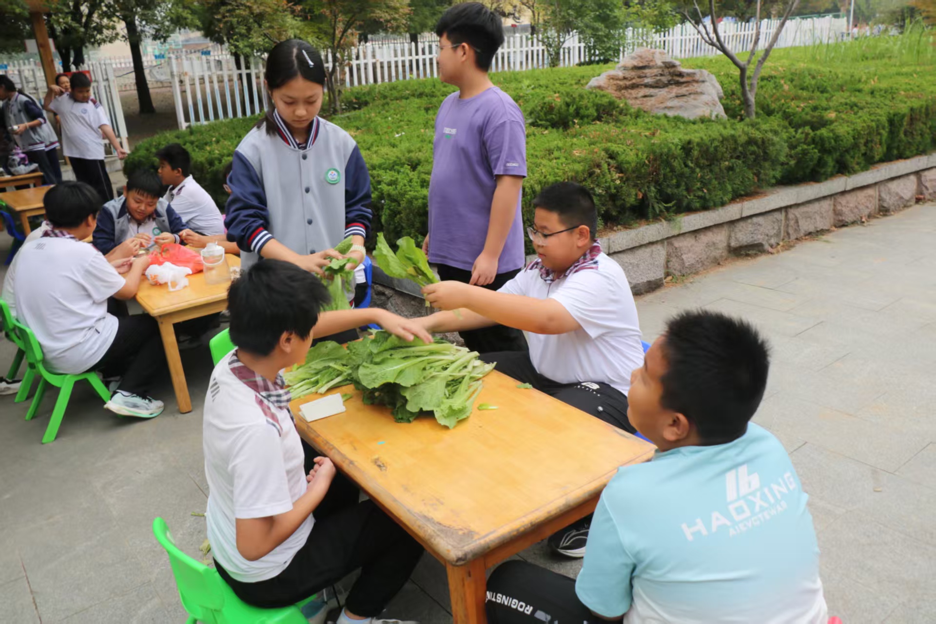 烟火润童心 厨艺促成长——平邑兴蒙学校六年级开展厨艺实践活动(图1)